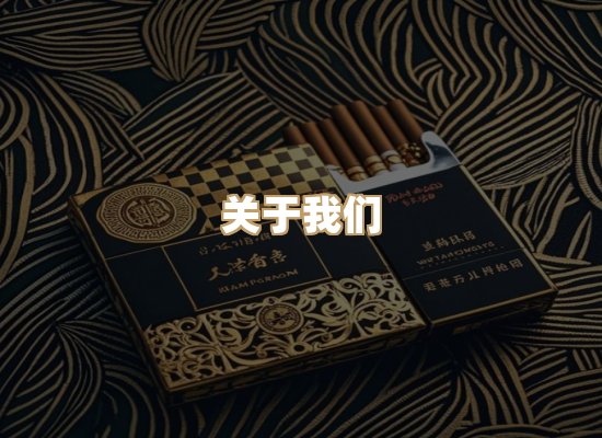 关于蓝帝网